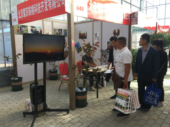 昌邑展會(huì)