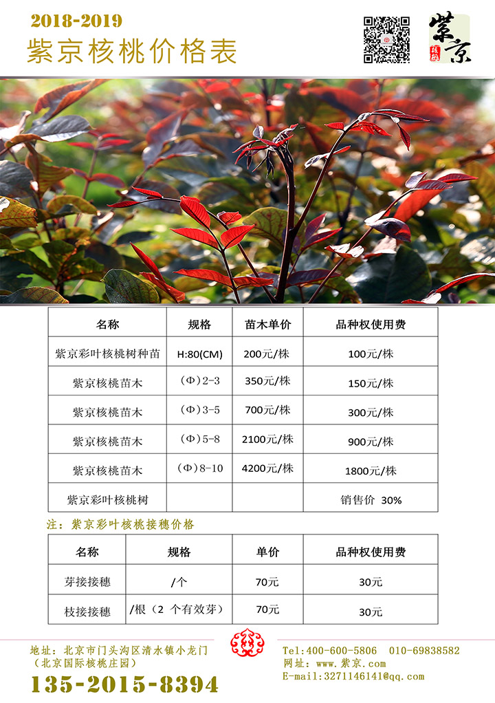 baojiadan.jpg