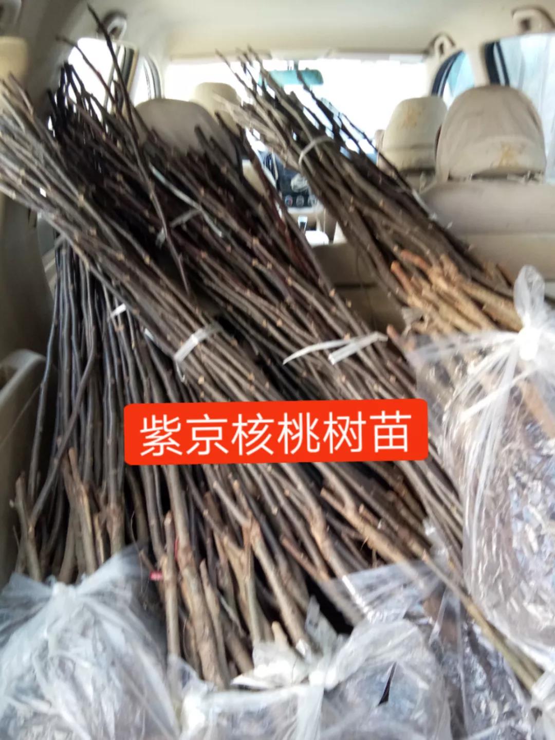 微信圖片_20190109152214.jpg